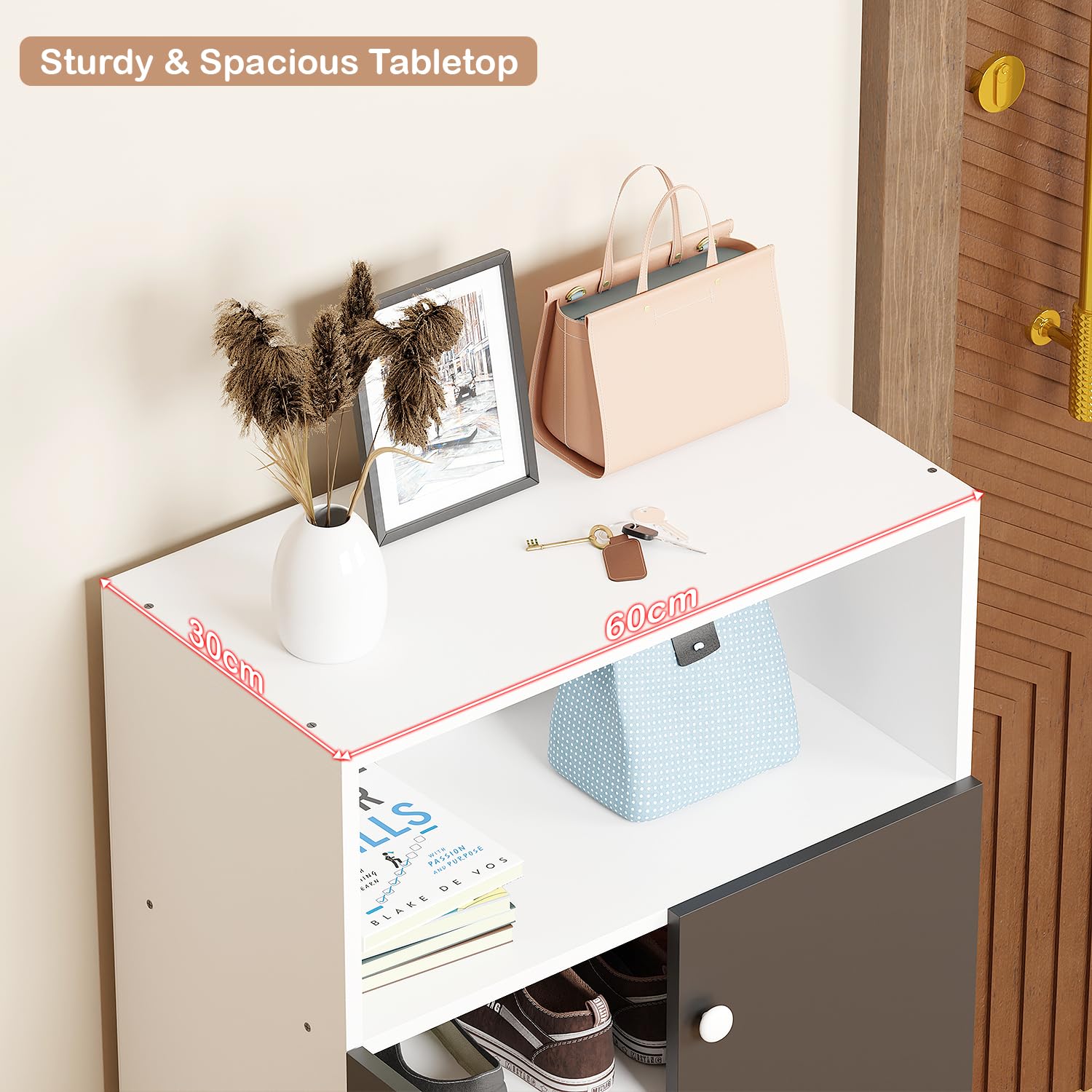 Lukzer 4-Layer Shoe Rack with Doors – Space-Saving Storage Organizer (Model: SR-003)