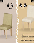 Jacquard Chair Covers (Pastel Dotted Stripe Pattern)